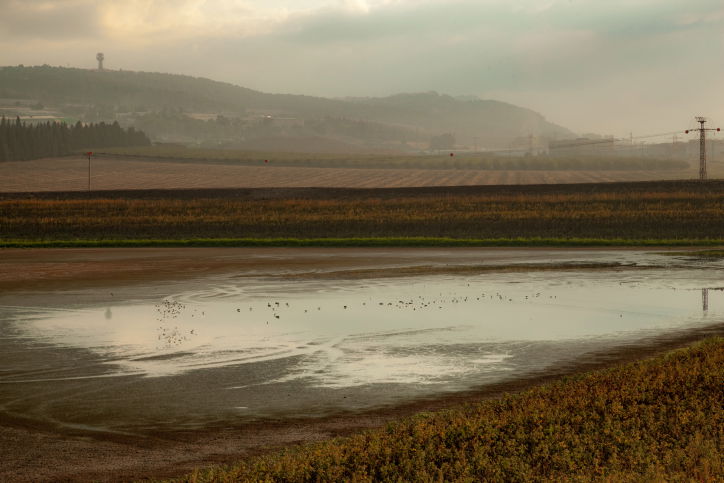 הסתיו הגיע לעמק יזרעאל • גלריה מרהיבה