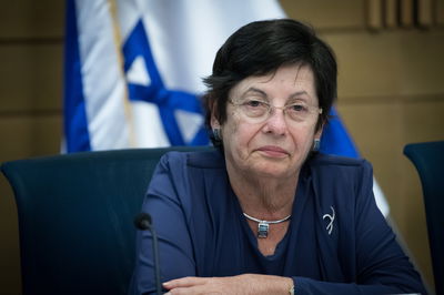 הנשיאה היוצאת, מרים נאור