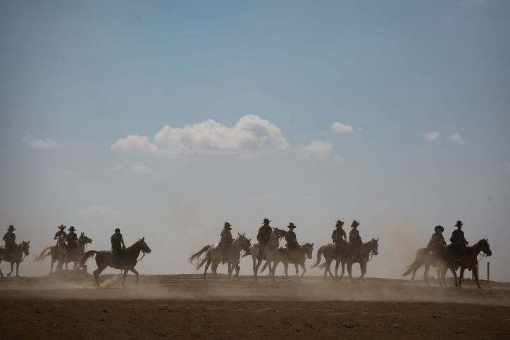 100 שנים לשיירת הסוסים האוסטרלית • צפו