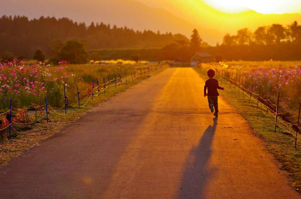 חינוך מבחירה / הרב אברהם בורודיאנסקי