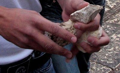 אילוסטרציה