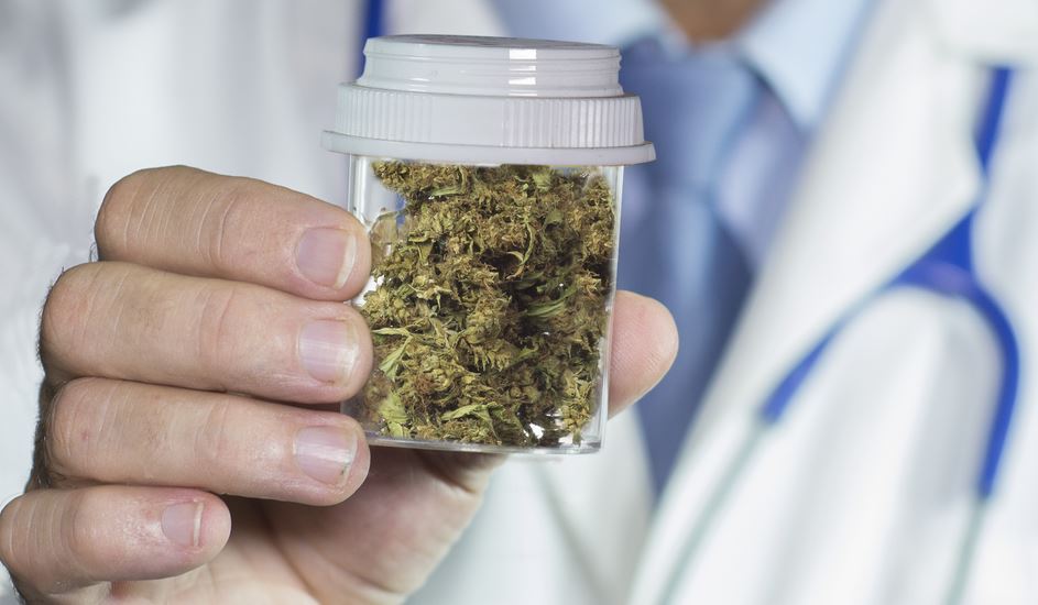 קנאביס. אילוסטרציה