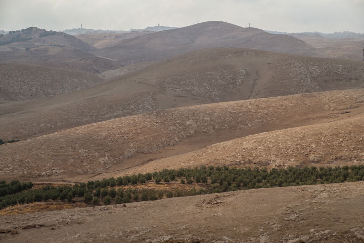 מעץ הזית ועד לבקבוק שמן הזית  - גלריה