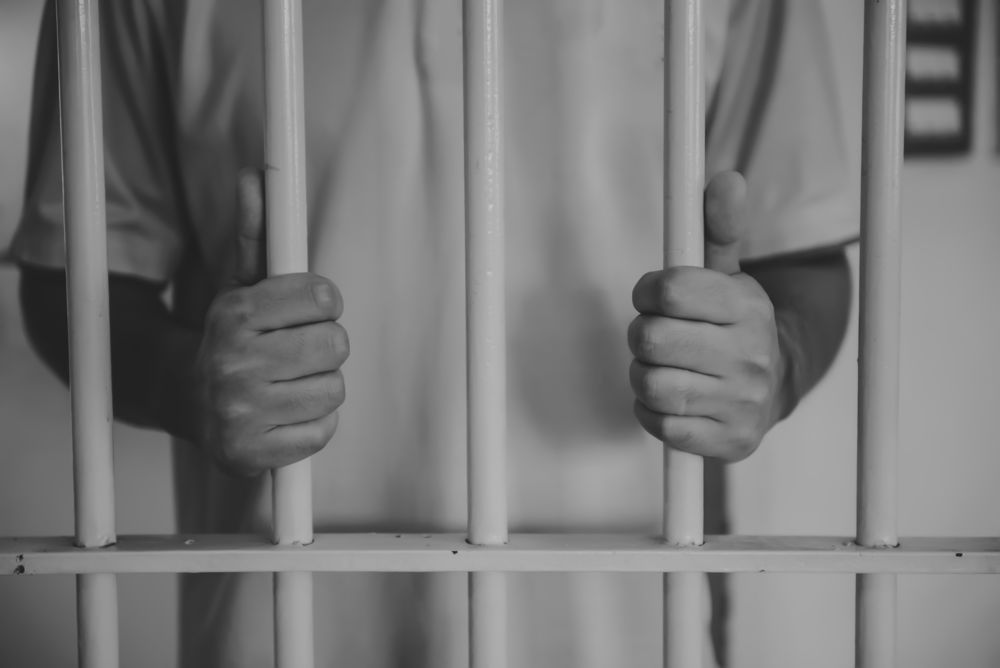 סוף גנב: ניסה לגנוב תוכי ונלכד בתוך הכלוב