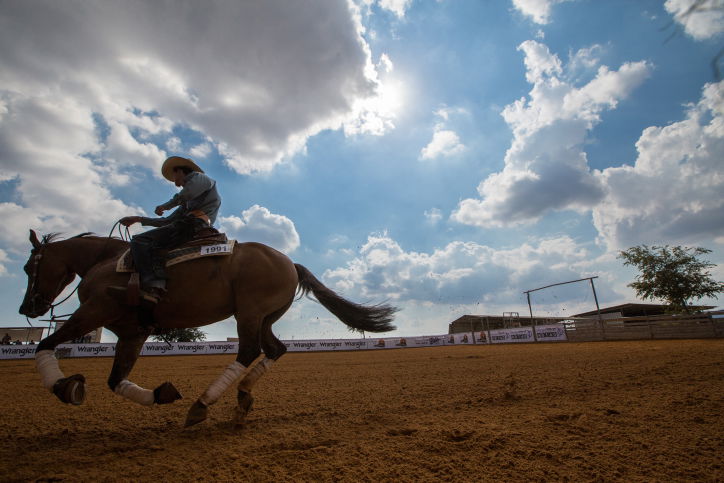 רוכב סוסים מקצועי במושב שרונה