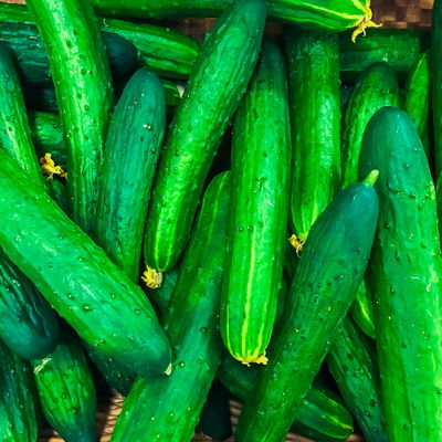 הטריק שכבש את הרשת: כך תשמרו על המלפפונים - טריים