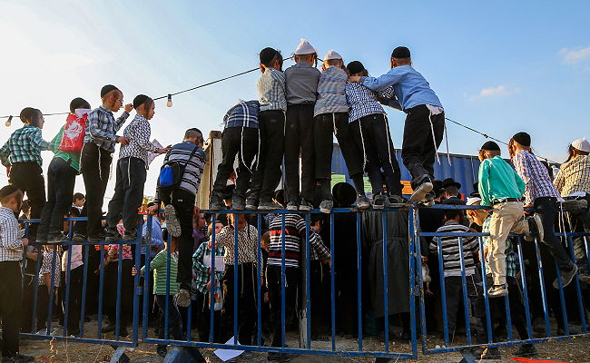 ילדים בבית שמש, ארכיון