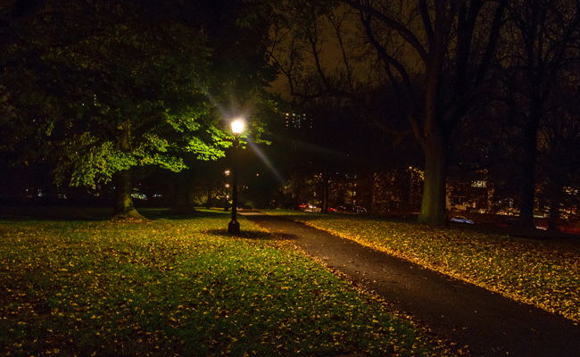 שביל בשכונת היוקרה פרימרוז היל