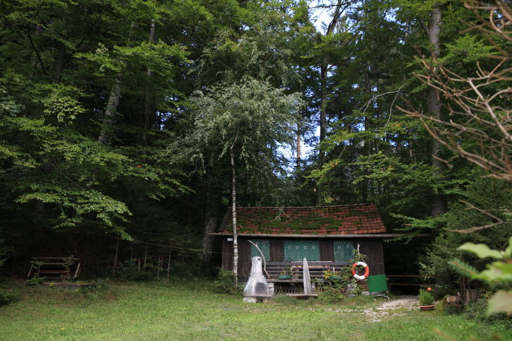 אחת המדינות היפות באירופה: אוסטריה דרך העדשה