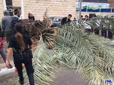 זירת הקריסה