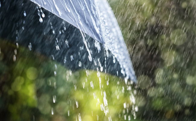 משעות הלילה: גשם יורד בצפון ובמרכז