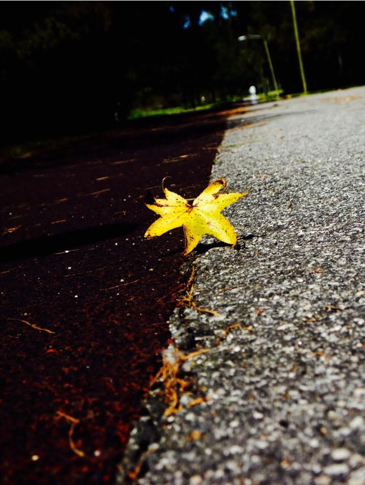 מתוך תערוכת הצילומים באינדיאנה.