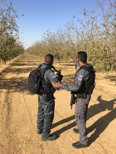 הכוחות סורקים סביב העיר