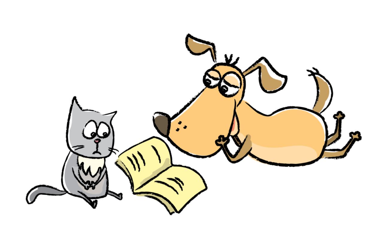 חתולים או כלבים? מחקר חדש מגלה מי החכם ביותר