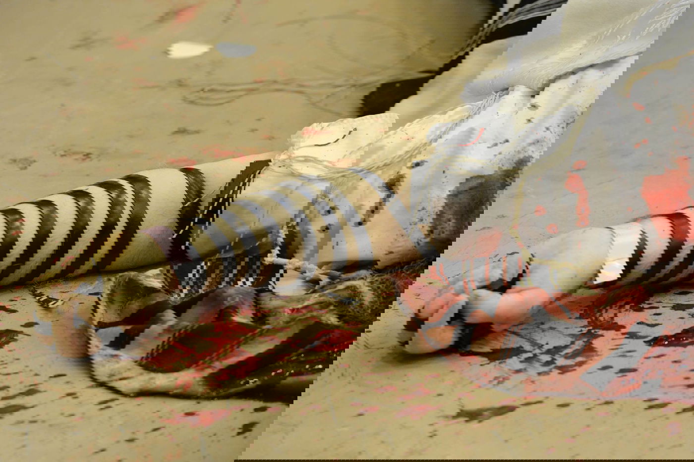 הפיגוע בהר נוף. תזכורת למה שעלול לקרות