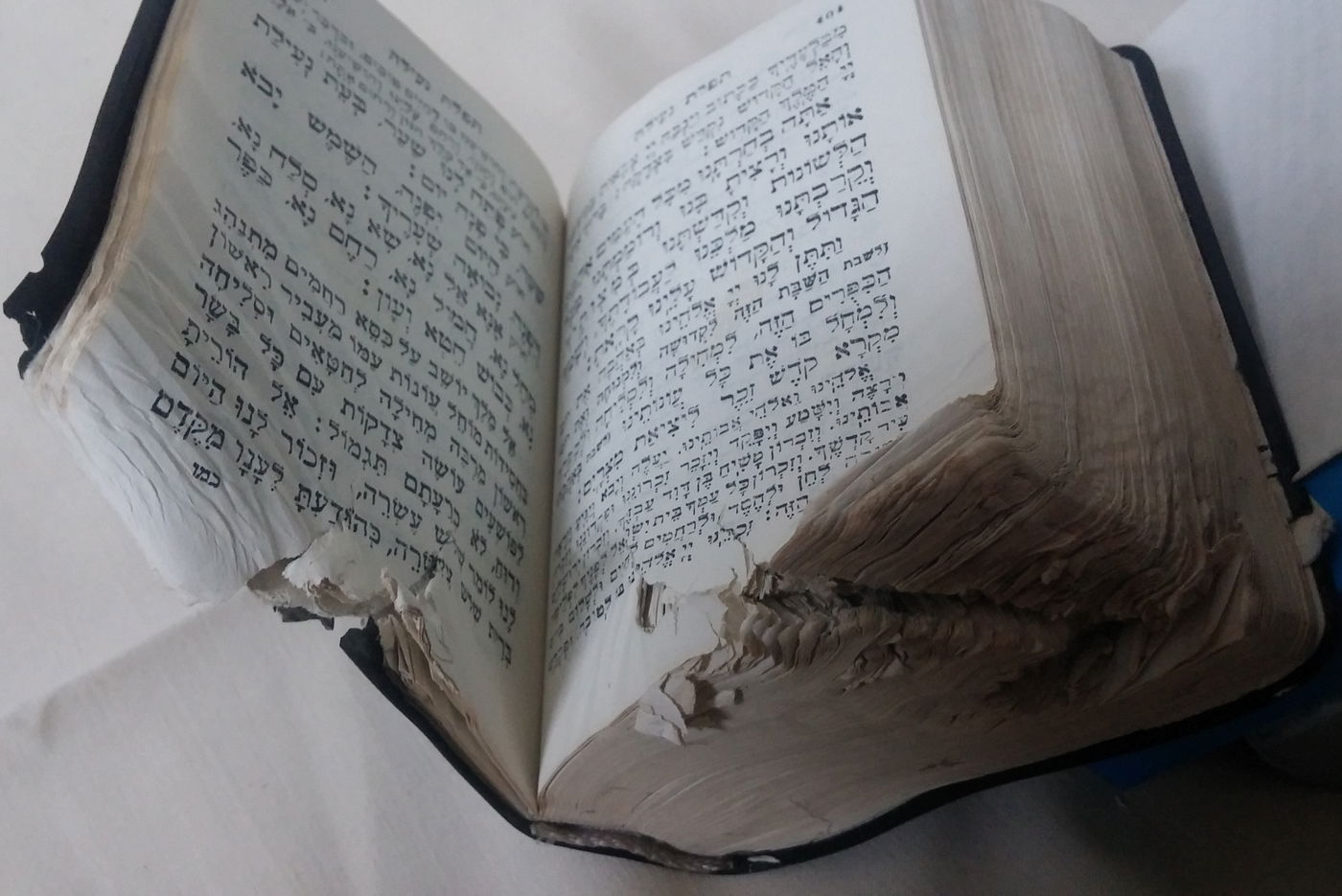 המחזור ששרד הפגזה