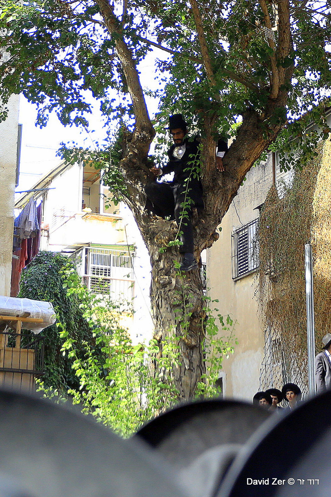 הלווית מרן הרב שטיינמן: התיעוד של דוד זר