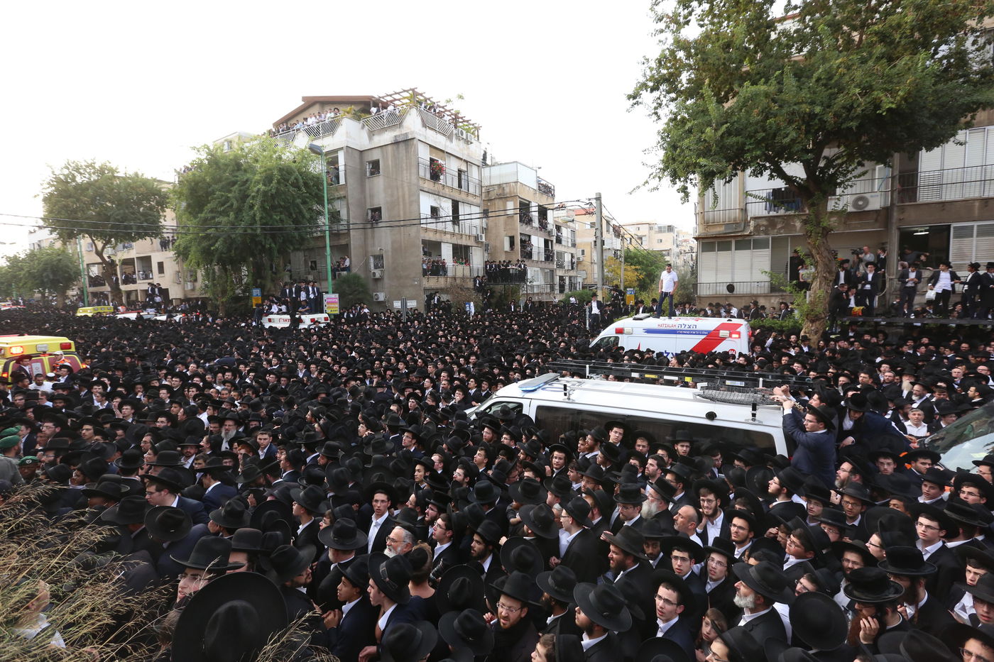 שש שעות, שישים תמונות: נפרדים ממרן הגראי"ל שטיינמן