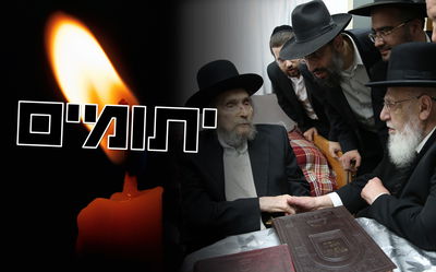 הגר"ש כהן והגראי"ל שטיינמן