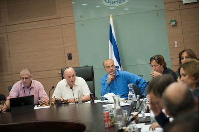 ועדת החוקה. ארכיון