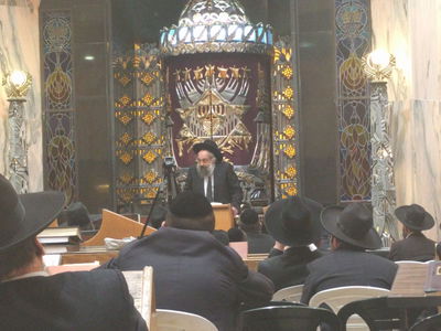 אבידה גדולה: הגאון המופלא רבי שלמה אריה זצ"ל