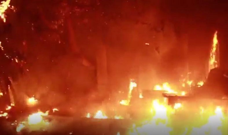 אילוסטרציה