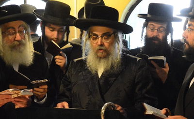 הרבי הורה: למרות החתונה - ללמוד ב"ניטל"