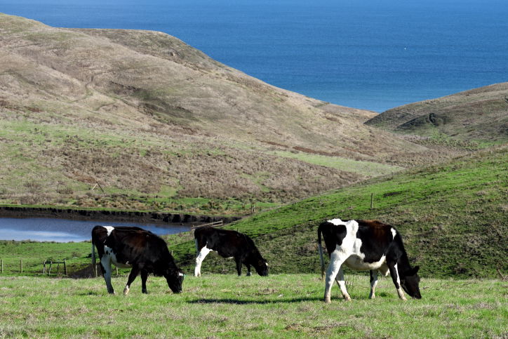 טיול קסום דרך עדשת המצלמה לקליפורניה