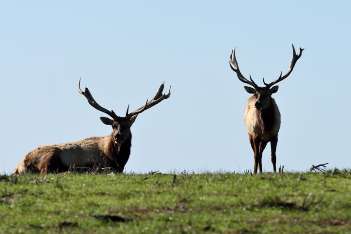 טיול קסום דרך עדשת המצלמה לקליפורניה