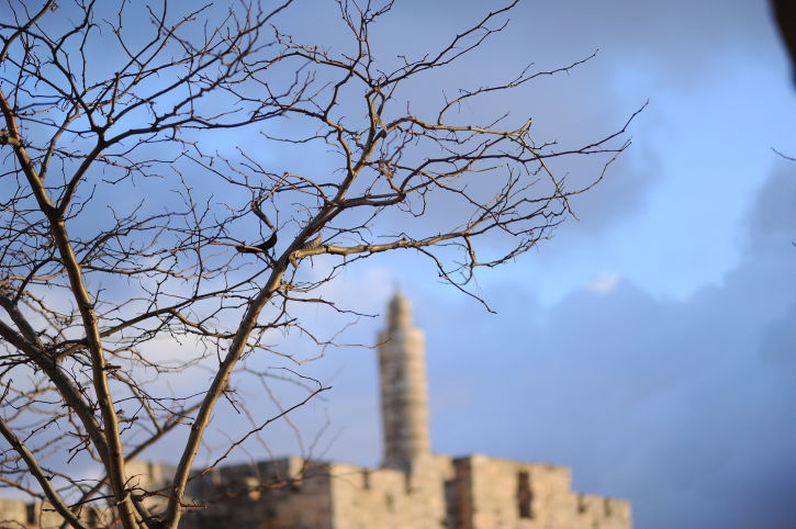 התחזית: עלייה קלה בחום, יבש מהרגיל לעונה