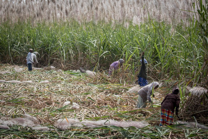 טיול דרך עדשת המצלמה להודו המסתורית