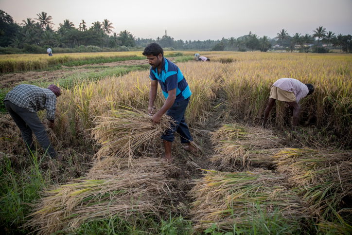 טיול דרך עדשת המצלמה להודו המסתורית