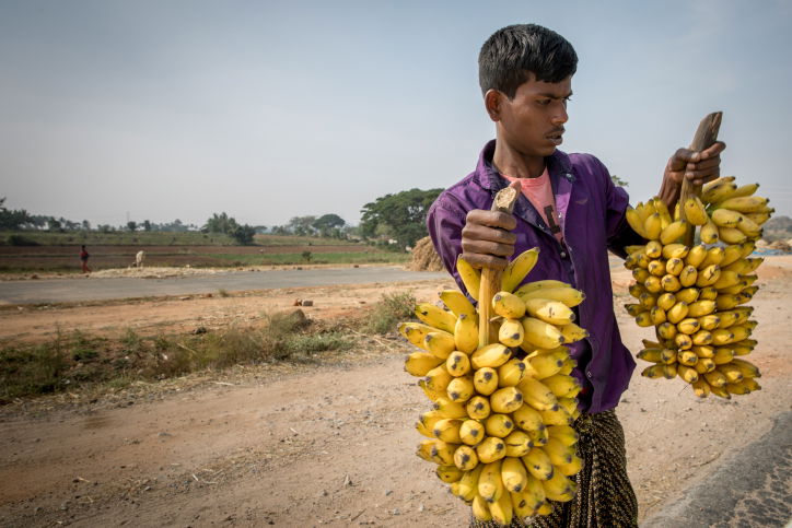 טיול דרך עדשת המצלמה להודו המסתורית