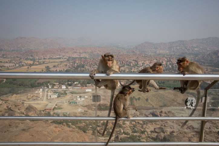 טיול דרך עדשת המצלמה להודו המסתורית
