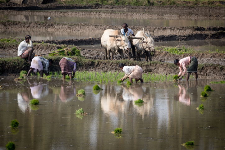 טיול דרך עדשת המצלמה להודו המסתורית