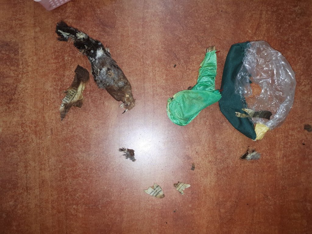 הסגולה שאכזיבה