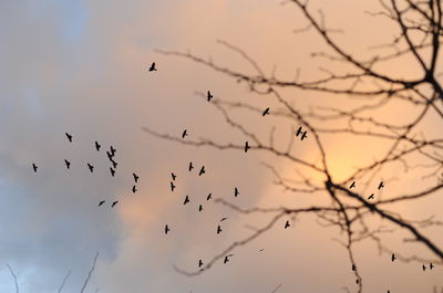 התחזית: ללא שינוי ניכר, ייתכן טפטוף מקומי