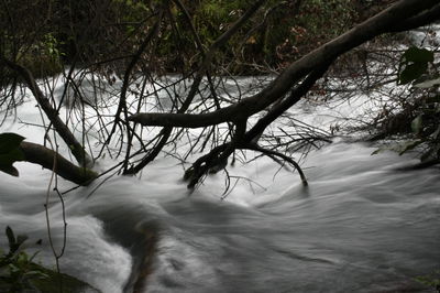אילוסטרציה