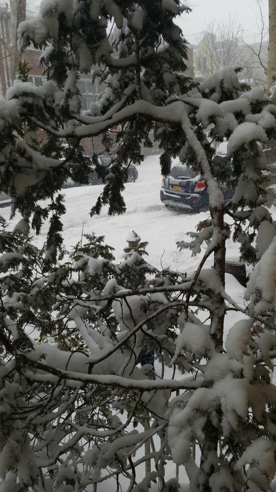 "ציקלון פצצה": מיליוני אמריקנים תחת סופה עזה