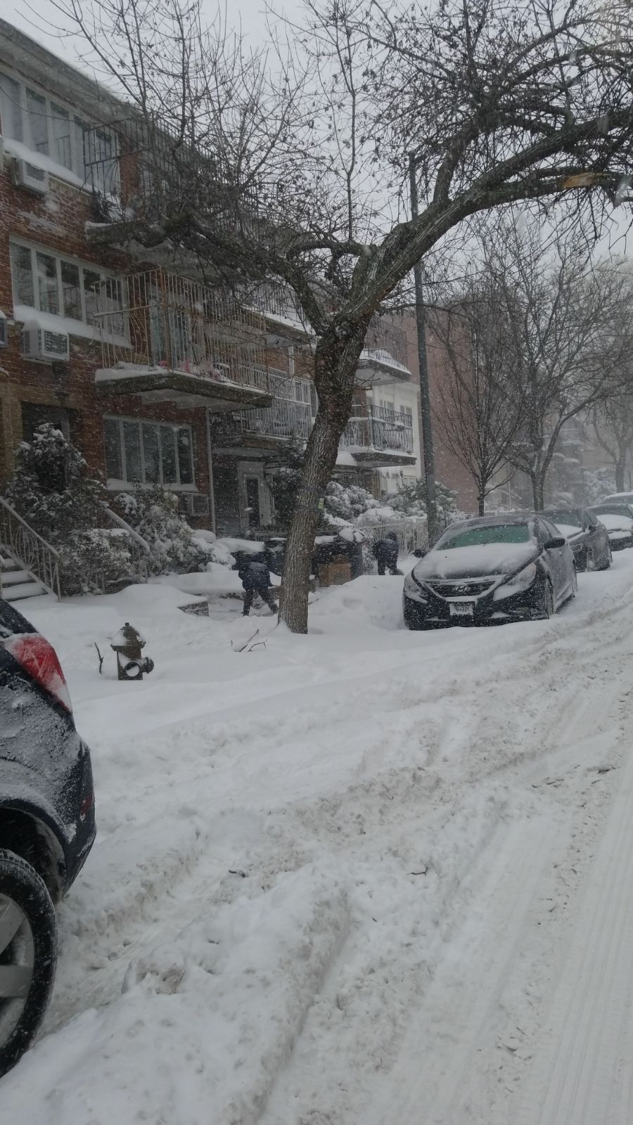 "ציקלון פצצה": מיליוני אמריקנים תחת סופה עזה