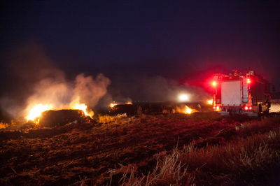 אילוסטרציה