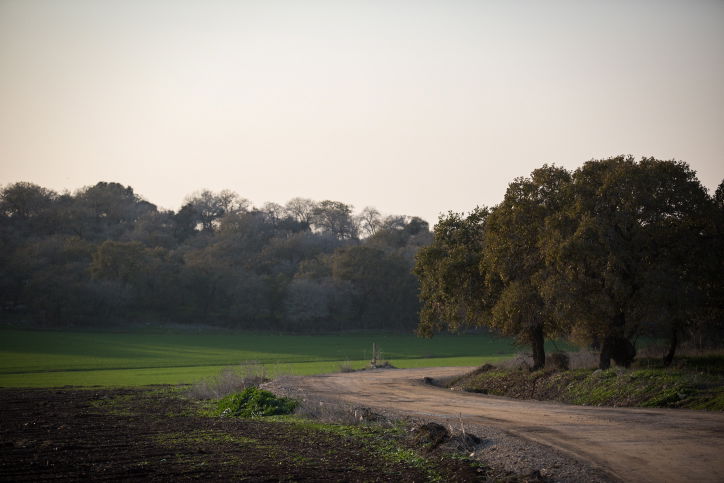 בית לחם הגלילית
