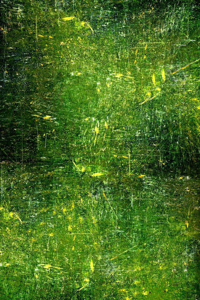 הציור "כי האדם עץ השדה" של האומן יואל תורג'מן.