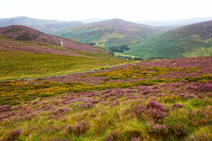 טיול לנופיה המרהיבים של אירלנד  • גלריה