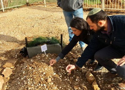 שקד בקברו של הרב רזיאל שבח הי"ד