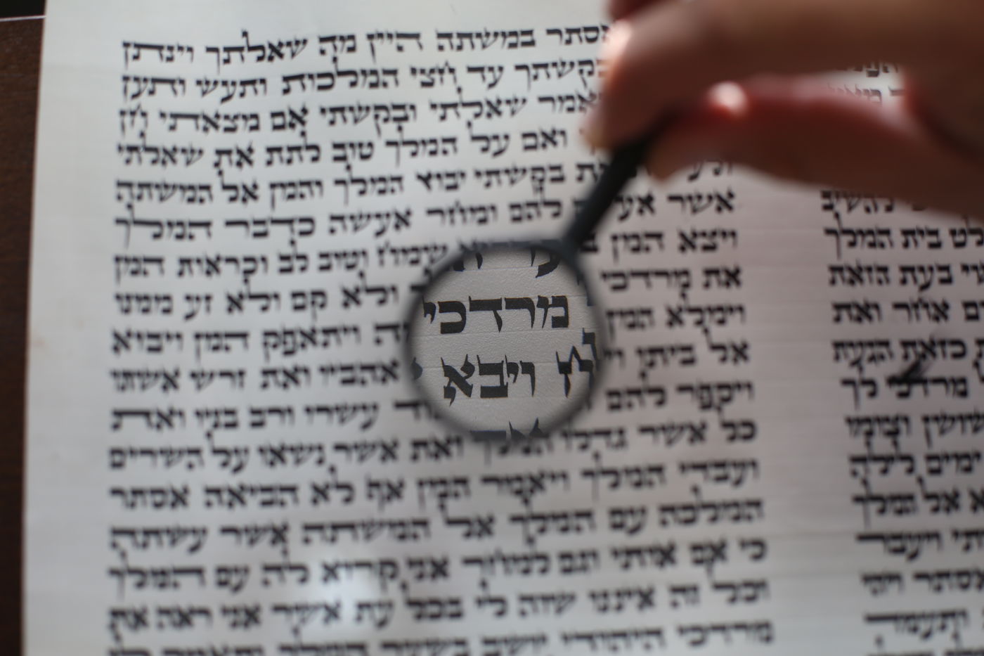 תיעוד מיוחד: עבודתו של סופר סת"ם • צפו