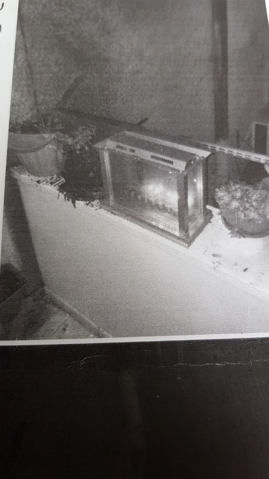 ההוכחה שהצילה