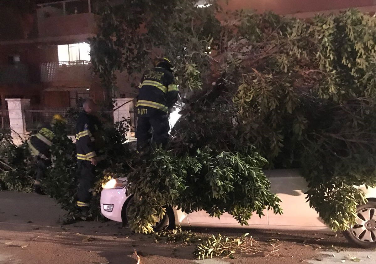 העץ שקרס בבית שאן על שני הנוסעים