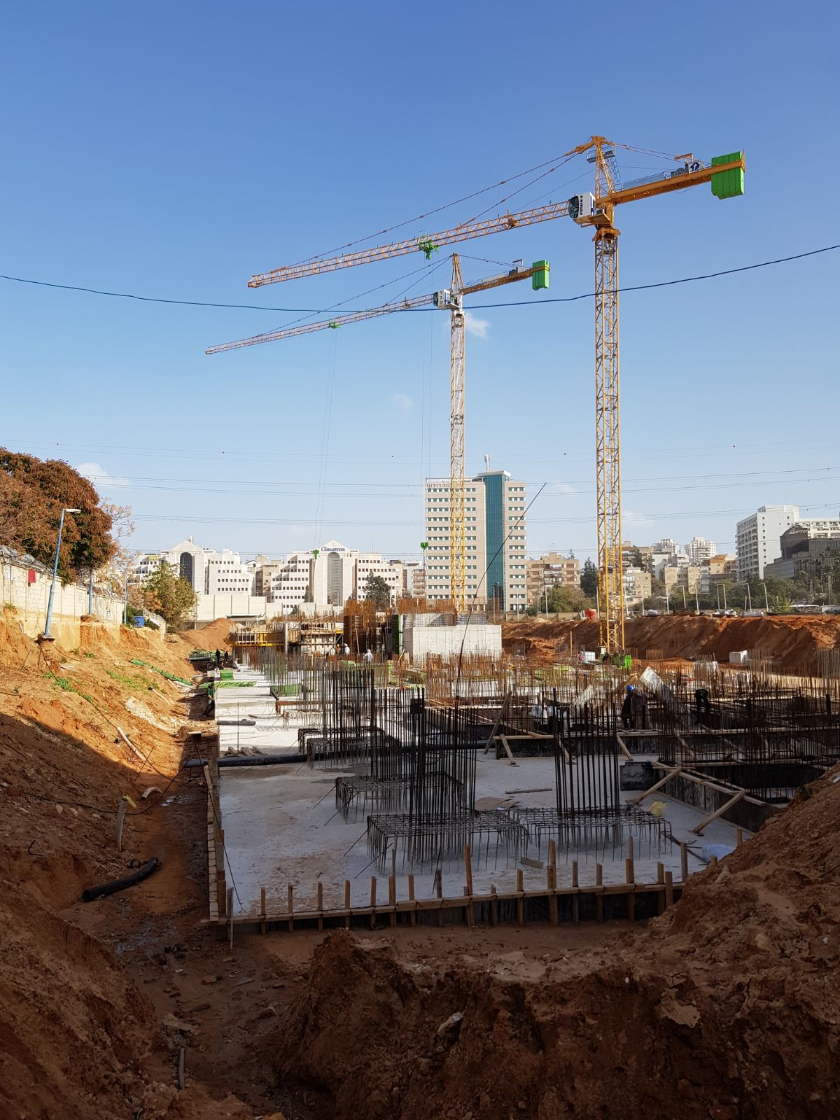 פרוייקט גינות דוד.