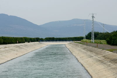 המוביל הארצי